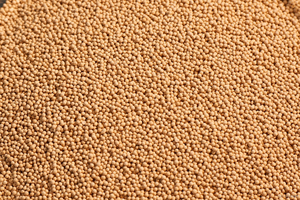 Vehicle Use Molecular Sieve